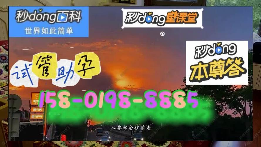 代怀小孩哪家便宜(代怀小孩哪家便宜?比价告诉你)