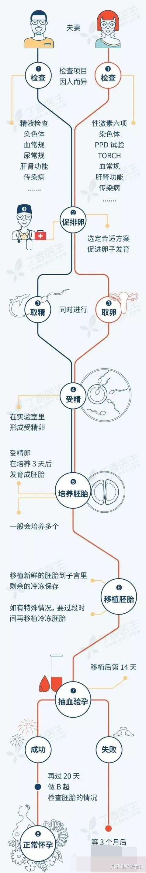 借卵生子前需要注意什么【借卵生子前需注意事项】